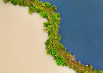 Badanie kontrastów: Indie kontra Indonezja