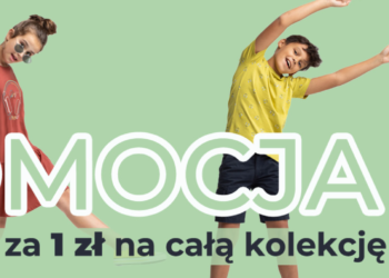 Volcano.pl: Polska Marka, Która Podbija Serca Klientów