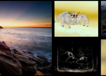 Nowoczesne technologie akwariowe z OM System