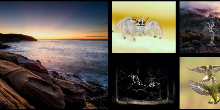 Nowoczesne technologie akwariowe z OM System