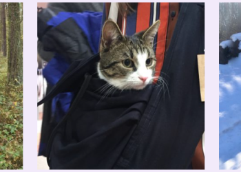 Liletink – kosmetyki i produkty pielęgnacyjne dopasowane do Twoich potrzeb