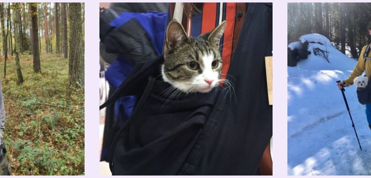 Liletink – kosmetyki i produkty pielęgnacyjne dopasowane do Twoich potrzeb