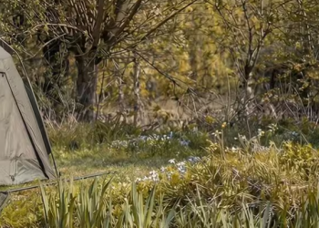 SPRZĘT WĘDKARSKI DLA PASJONATÓW