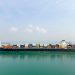 The Impact of Free Shipping on Buying Decisions