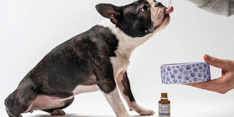 Zdrowie i dobrostan zwierząt z petbiotic.pl
